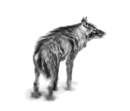 A monochrome wolf.